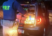 PRF apreende quase 2 toneladas de maconha que seriam enviadas para Araguari PRF apreende quase 2 toneladas de maconha que seriam enviadas para Araguari