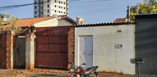 Pitbull foge de terreno e impede moradores de saírem de casa no bairro Granada, em Uberlândia Pitbull foge de terreno e impede moradores de saírem de casa no bairro Granada, em Uberlândia