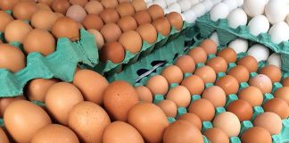 Preço da cartela de ovos sobe e chega a R$ 49,99 em Minas Preço da cartela de ovos sobe e chega a R$ 49,99 em Minas