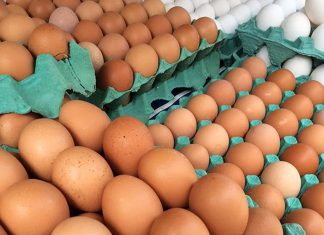 Preço da cartela de ovos sobe e chega a R$ 49,99 em Minas Preço da cartela de ovos sobe e chega a R$ 49,99 em Minas