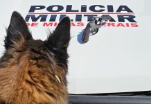 Arma falha três vezes durante tentativa de feminicídio contra mãe com criança no colo em MG Arma falha três vezes durante tentativa de feminicídio contra mãe com criança no colo em MG