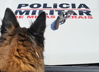 Arma falha três vezes durante tentativa de feminicídio contra mãe com criança no colo em MG Arma falha três vezes durante tentativa de feminicídio contra mãe com criança no colo em MG