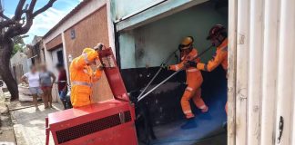 Cachorro abandonado morde idoso ao entrar em bar em Uberaba Cachorro abandonado morde idoso ao entrar em bar em Uberaba
