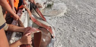 Cavalo é resgatado após cair em tanque de laticínio em Araxá Cavalo é resgatado após cair em tanque de laticínio em Araxá