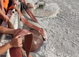 Cavalo é resgatado após cair em tanque de laticínio em Araxá Cavalo é resgatado após cair em tanque de laticínio em Araxá