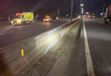 Ciclista morre após atropelamento na BR-050; motorista da caminhonete foge do local Ciclista morre após atropelamento na BR-050; motorista da caminhonete foge do local