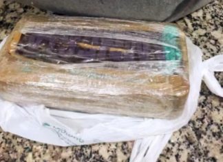 Jovem de 19 anos é presa com crack em ônibus que partiu de Uberlândia Jovem de 19 anos é presa com crack em ônibus que partiu de Uberlândia