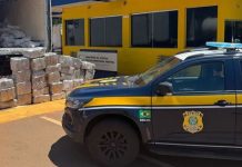 PRF apreende quase uma tonelada de maconha escondida em carga de carne com destino a Uberlândia PRF apreende quase uma tonelada de maconha escondida em carga de carne com destino a Uberlândia