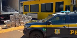 PRF apreende quase uma tonelada de maconha escondida em carga de carne com destino a Uberlândia PRF apreende quase uma tonelada de maconha escondida em carga de carne com destino a Uberlândia