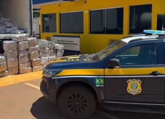 PRF apreende quase uma tonelada de maconha escondida em carga de carne com destino a Uberlândia PRF apreende quase uma tonelada de maconha escondida em carga de carne com destino a Uberlândia