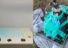 Passageiro de ônibus é preso com 500 pinos de cocaína escondidos em TV e travesseiro em Patrocínio Passageiro de ônibus é preso com 500 pinos de cocaína escondidos em TV e travesseiro em Patrocínio