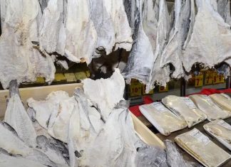 Preço do bacalhau chega a R$ 300 o quilo em Minas Gerais para a Quaresma Preço do bacalhau chega a R$ 300 o quilo em Minas Gerais para a Quaresma