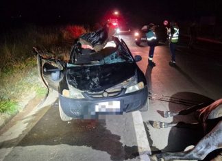 Vaca solta na pista provoca acidente fatal e mata jovem em Patrocínio Vaca solta na pista provoca acidente fatal e mata jovem em Patrocínio