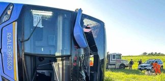 Alerta nas Rodovias: 14 Mortes em Acidentes em Minas em Menos de um Dia Alerta nas Rodovias: 14 Mortes em Acidentes em Minas em Menos de um Dia