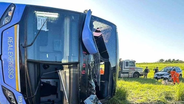 Alerta nas Rodovias: 14 Mortes em Acidentes em Minas em Menos de um Dia
