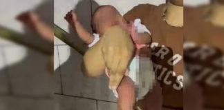 Bebê de 27 dias é resgatado após ser vendido pela mãe Bebê de 27 dias é resgatado após ser vendido pela mãe