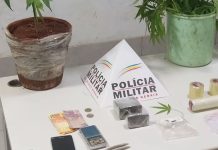 Homem é preso com entorpecentes e cultivo de maconha em Araguari Homem é preso com entorpecentes e cultivo de maconha em Araguari