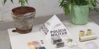 Homem é preso com entorpecentes e cultivo de maconha em Araguari Homem é preso com entorpecentes e cultivo de maconha em Araguari