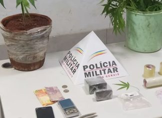 Homem é preso com entorpecentes e cultivo de maconha em Araguari Homem é preso com entorpecentes e cultivo de maconha em Araguari