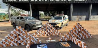 Mais de 130 kg de agrotóxicos contrabandeados do Paraguai são apreendidos em Goiás Mais de 130 kg de agrotóxicos contrabandeados do Paraguai são apreendidos em Goiás
