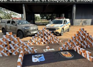 Mais de 130 kg de agrotóxicos contrabandeados do Paraguai são apreendidos em Goiás Mais de 130 kg de agrotóxicos contrabandeados do Paraguai são apreendidos em Goiás