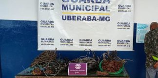 Operação Ferro Velho estoura esquema de furto em Uberaba: 30 kg de cabos apreendidos! Operação Ferro Velho estoura esquema de furto em Uberaba: 30 kg de cabos apreendidos!
