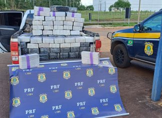 Quase 1 tonelada de maconha: Homem é capturado após fuga alucinante na MG-497 Quase 1 tonelada de maconha Homem é capturado após fuga alucinante na MG-497