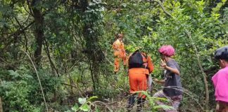 Resgate Tenso: Idosa Passa a Noite na Mata com o Cachorro Após Se Perder em Pescaria Resgate Tenso: Idosa Passa a Noite na Mata com o Cachorro Após Se Perder em Pescaria
