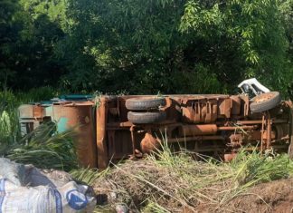 Acidente com caminhão de coleta na MG-255 em Frutal resulta em três feridos; veículo havia sido furtado em São Paulo Acidente com caminhão de coleta na MG-255 em Frutal resulta em três feridos; veículo havia sido furtado em São Paulo