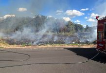 Bombeiros controlam incêndio em área florestal no Portal dos Ipês, em Ituiutaba Bombeiros controlam incêndio em área florestal no Portal dos Ipês, em Ituiutaba