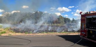 Bombeiros controlam incêndio em área florestal no Portal dos Ipês, em Ituiutaba Bombeiros controlam incêndio em área florestal no Portal dos Ipês, em Ituiutaba