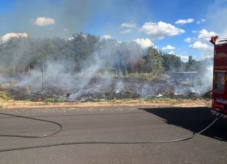 Bombeiros controlam incêndio em área florestal no Portal dos Ipês, em Ituiutaba Bombeiros controlam incêndio em área florestal no Portal dos Ipês, em Ituiutaba