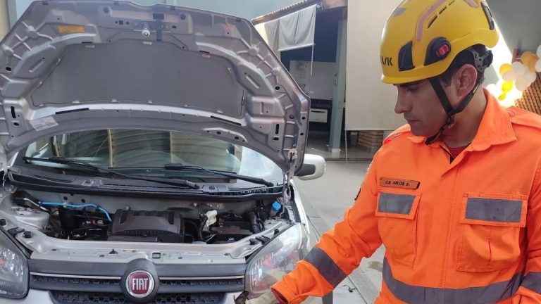 Bombeiros resgatam jiboia encontrada no motor de carro em Araguari