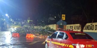 Corpo de Bombeiros Intensifica Ações de Atendimento Após Temporal em Ituiutaba Corpo de Bombeiros Intensifica Ações de Atendimento Após Temporal em Ituiutaba