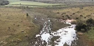 Fazendeiros Multados em Mais de R$ 4 Milhões e 500 Hectares Embargados por Desmatamento Ilegal em Uberlândia e Uberaba Fazendeiros Multados em Mais de R$ 4 Milhões e 500 Hectares Embargados por Desmatamento Ilegal em Uberlândia e Uberaba