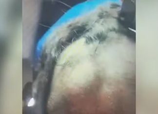 Homem é detido em MG por raspar o cabelo da ex-namorada e filmar a agressão Homem é detido em MG por raspar o cabelo da ex-namorada e filmar a agressão