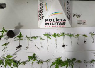 Homem é detido por tráfico de drogas e posse irregular de munição em Araguari Homem é detido por tráfico de drogas e posse irregular de munição em Araguari