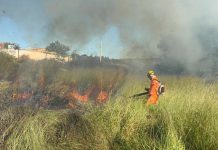Incêndio em Patos de Minas coloca em risco mata ciliar e preocupa moradores do bairro Quebec Incêndio em Patos de Minas coloca em risco mata ciliar e preocupa moradores do bairro Quebec