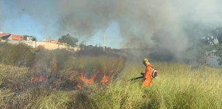 Incêndio em Patos de Minas coloca em risco mata ciliar e preocupa moradores do bairro Quebec Incêndio em Patos de Minas coloca em risco mata ciliar e preocupa moradores do bairro Quebec