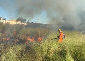 Incêndio em Patos de Minas coloca em risco mata ciliar e preocupa moradores do bairro Quebec Incêndio em Patos de Minas coloca em risco mata ciliar e preocupa moradores do bairro Quebec