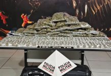 Jovem é Detido com Quase 500 Porções de Maconha Durante Operação no Bairro São Jorge, em Uberlândia Jovem é Detido com Quase 500 Porções de Maconha Durante Operação no Bairro São Jorge, em Uberlândia