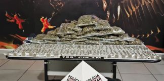 Jovem é Detido com Quase 500 Porções de Maconha Durante Operação no Bairro São Jorge, em Uberlândia Jovem é Detido com Quase 500 Porções de Maconha Durante Operação no Bairro São Jorge, em Uberlândia