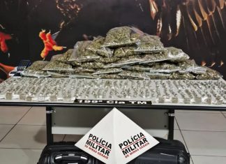 Jovem é Detido com Quase 500 Porções de Maconha Durante Operação no Bairro São Jorge, em Uberlândia Jovem é Detido com Quase 500 Porções de Maconha Durante Operação no Bairro São Jorge, em Uberlândia