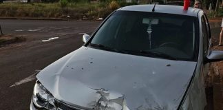 Jovem perde controle do carro, derruba lixeira e destrói portão de residência em Ituiutaba Jovem perde controle do carro, derruba lixeira e destrói portão de residência em Ituiutaba