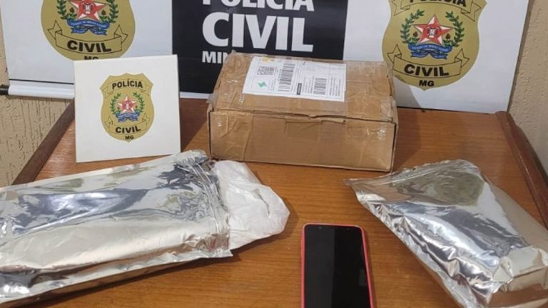 Monte Carmelo Mulher é Detida pela Polícia Civil ao Receber Drogas Através de Empresa de Transporte