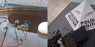 Morador estranha água verde na torneira e descobre maconha na caixa d’água em MG Morador estranha água verde na torneira e descobre maconha na caixa d'água em MG