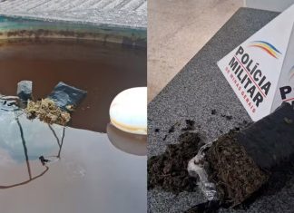 Morador estranha água verde na torneira e descobre maconha na caixa d’água em MG Morador estranha água verde na torneira e descobre maconha na caixa d'água em MG