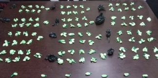 Mulher é Detida com 333 Papelotes de Cocaína em Uberlândia por Tráfico de Drogas Mulher é Detida com 333 Papelotes de Cocaína em Uberlândia por Tráfico de Drogas