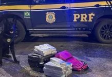 Mulher é detida com mais de 16 kg de maconha em ônibus na BR-040, saindo de Uberaba para o DF Mulher é detida com mais de 16 kg de maconha em ônibus na BR-040, saindo de Uberaba para o DF
