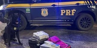 Mulher é detida com mais de 16 kg de maconha em ônibus na BR-040, saindo de Uberaba para o DF Mulher é detida com mais de 16 kg de maconha em ônibus na BR-040, saindo de Uberaba para o DF